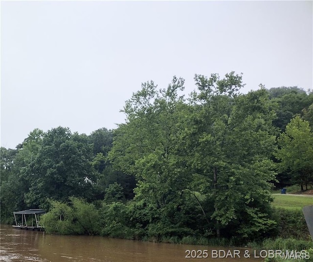 187 Channel Rd, Greenview, MO 65037 - photo 4