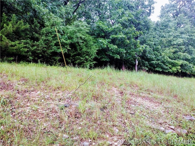 187 Channel Rd, Greenview, MO 65037 - photo 5