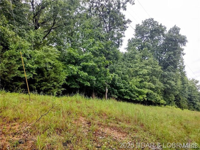187 Channel Rd, Greenview, MO 65037 - photo 6