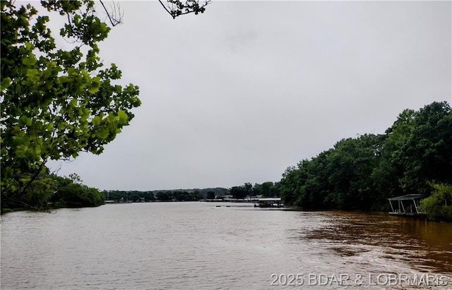 187 Channel Rd, Greenview, MO 65037 - photo 7