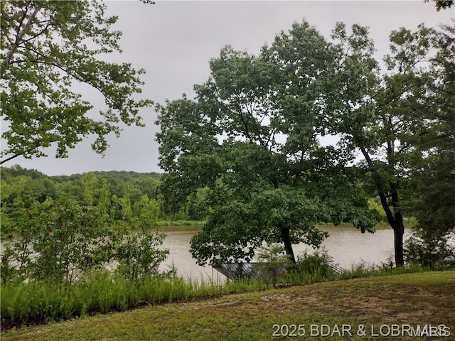 187 Channel Rd, Greenview, MO 65037 - photo 8