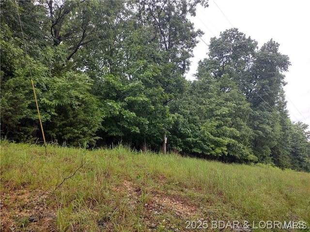 187 Channel Rd, Greenview, MO 65037 - photo 9
