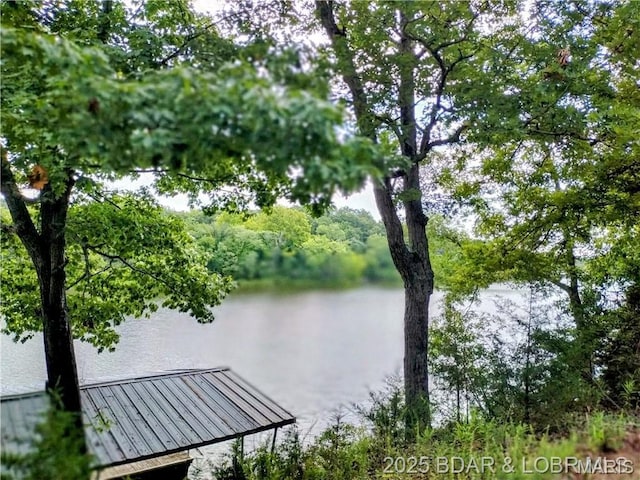 187 Channel Rd, Greenview, MO 65037 - photo 13