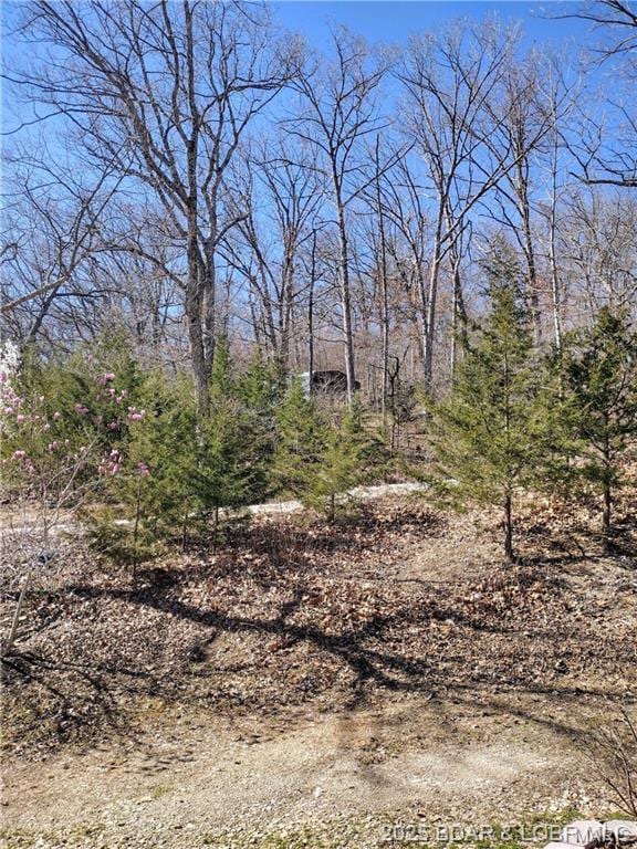 187 Channel Rd, Greenview, MO 65037 - photo 29