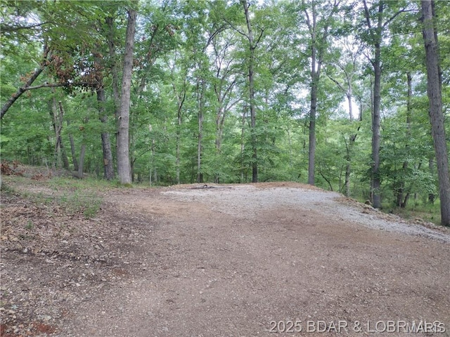 187 Channel Rd, Greenview, MO 65037 - photo 35