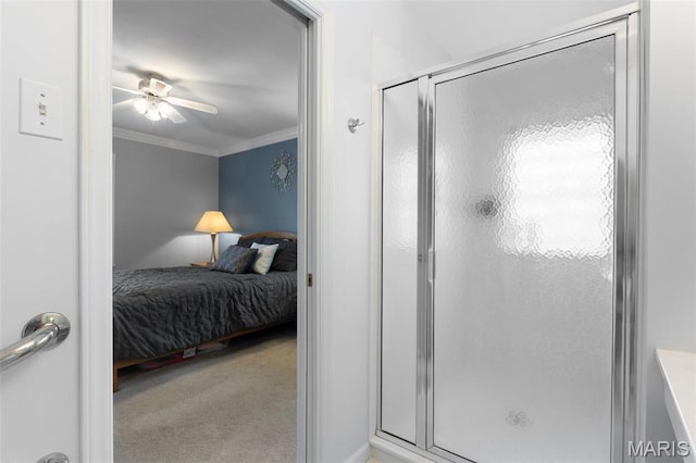 1408 Bopp Rd, Des Peres, MO 63131 - photo 13