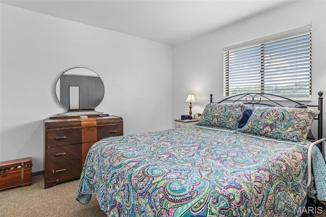 14522 Meadowlark Dr, Saint Genevieve, MO 63670 - photo 13