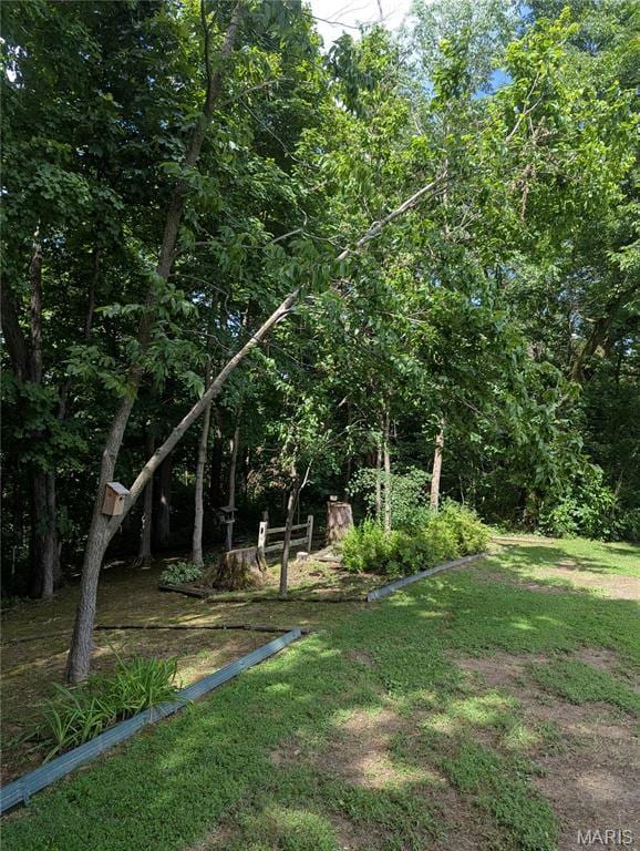 7 Fisher Ln, Greenville, IL 62246 - photo 13