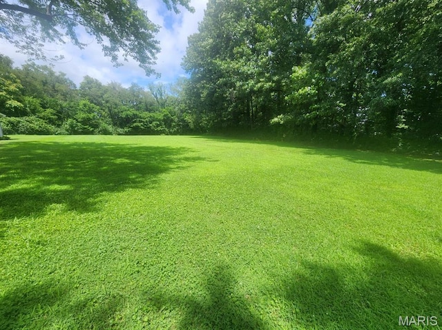 TBD Paula Lane, Vandalia, IL 62471 - photo 1