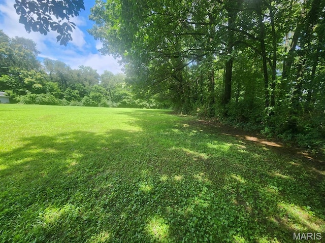 TBD Paula Lane, Vandalia, IL 62471 - photo 2