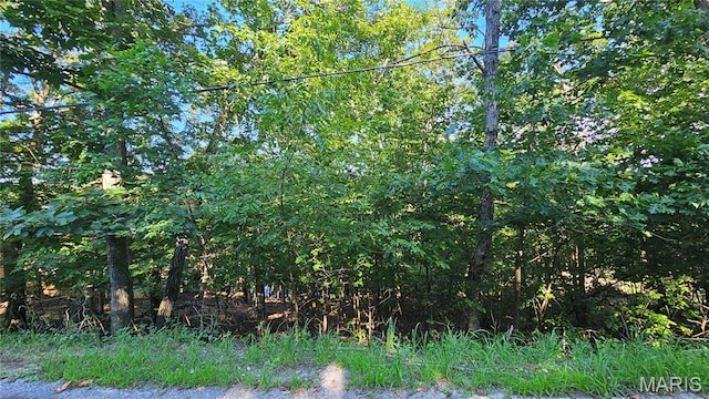 135 N Kings Rd, Lake Sherwood, MO 63357 - photo 3