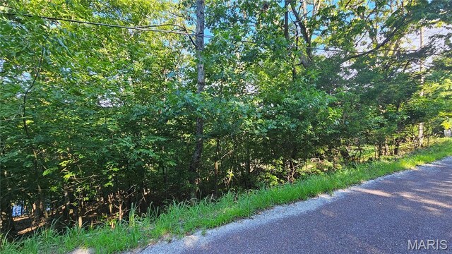 135 N Kings Rd, Lake Sherwood, MO 63357 - photo 5