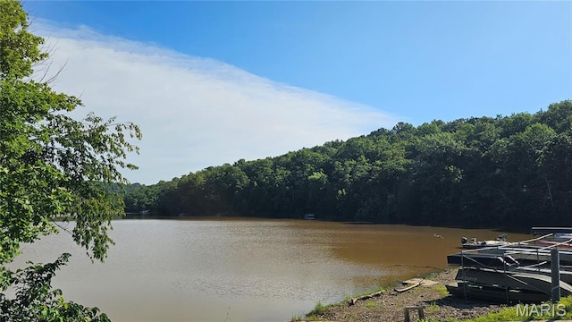 135 N Kings Rd, Lake Sherwood, MO 63357 - photo 8