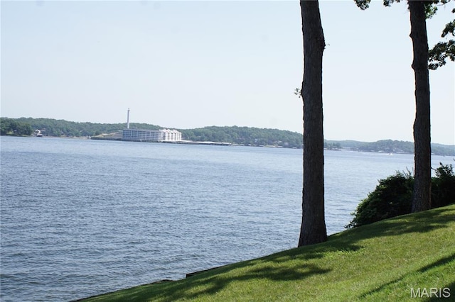64 Windjammer Cir Unit 2D, Lake Ozark, MO 65049 - photo 30