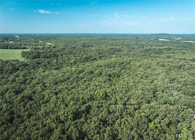0 County Road 5380, Rolla, MO 65401 - photo 3