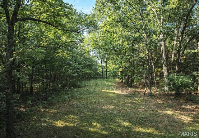 0 County Road 5380, Rolla, MO 65401 - photo 4