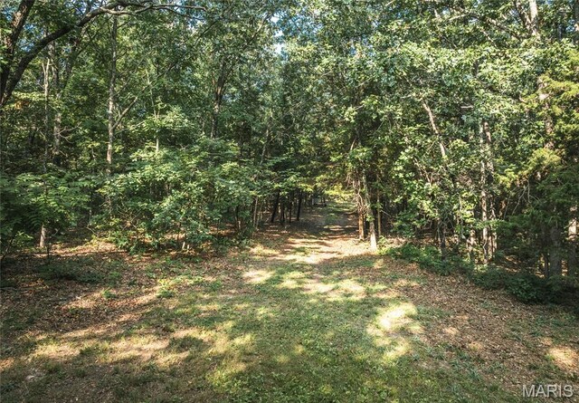 0 County Road 5380, Rolla, MO 65401 - photo 6