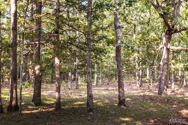 0 County Road 5380, Rolla, MO 65401 - photo 7