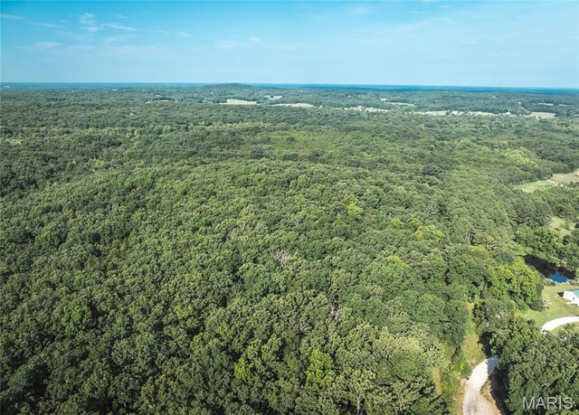 0 County Road 5380, Rolla, MO 65401 - photo 14