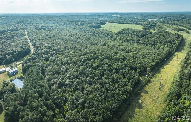 0 County Road 5380, Rolla, MO 65401 - photo 18