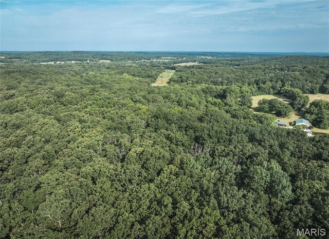 0 County Road 5380, Rolla, MO 65401 - photo 21