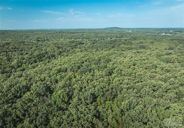 0 County Road 5380, Rolla, MO 65401 - photo 22