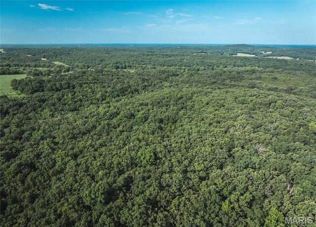 0 County Road 5380, Rolla, MO 65401 - photo 25