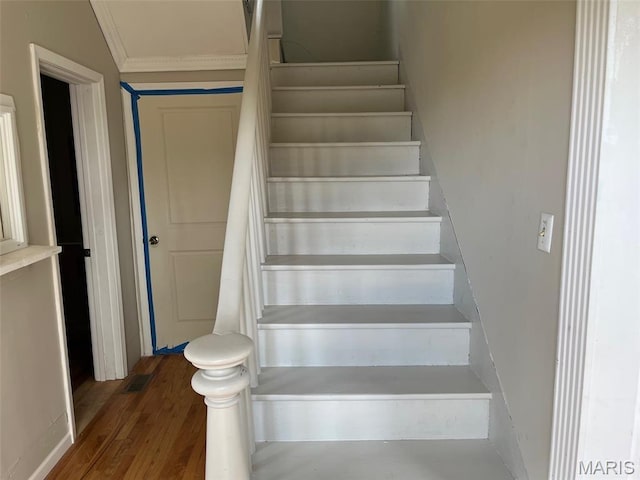 104 S Hickory, Irondale, MO 63648 - photo 19