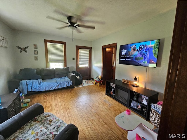708 S Saint Louis St, Sparta, IL 62286 - photo 10