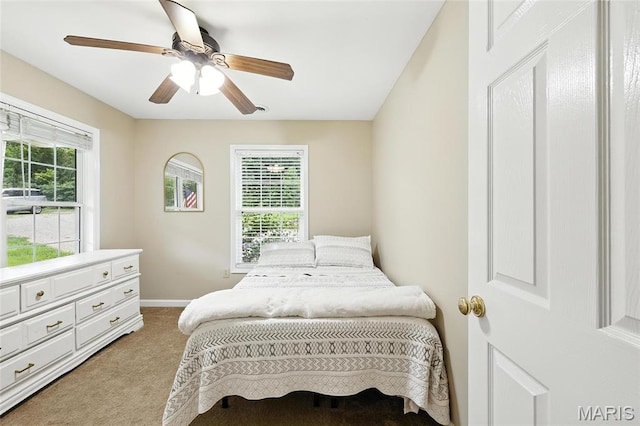 7029 Windy Valley Ln, Pacific, MO 63069 - photo 8