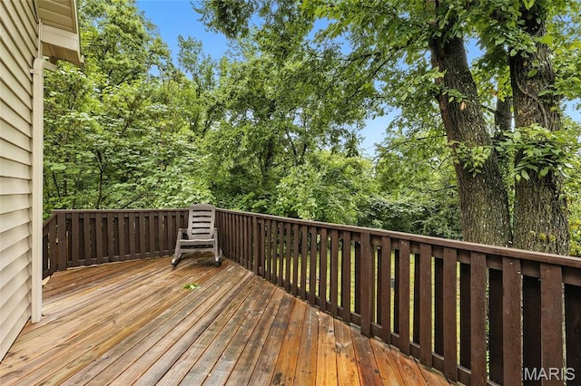 7029 Windy Valley Ln, Pacific, MO 63069 - photo 28