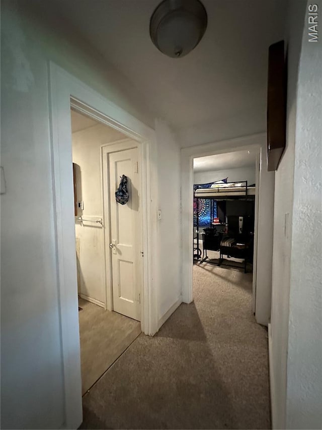1106 Spruce St, Bismarck, MO 63624 - photo 20
