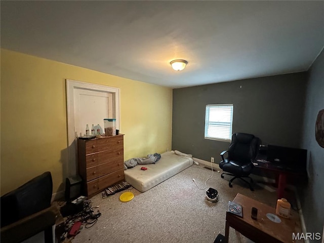 1106 Spruce St, Bismarck, MO 63624 - photo 21