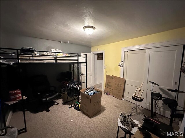 1106 Spruce St, Bismarck, MO 63624 - photo 25