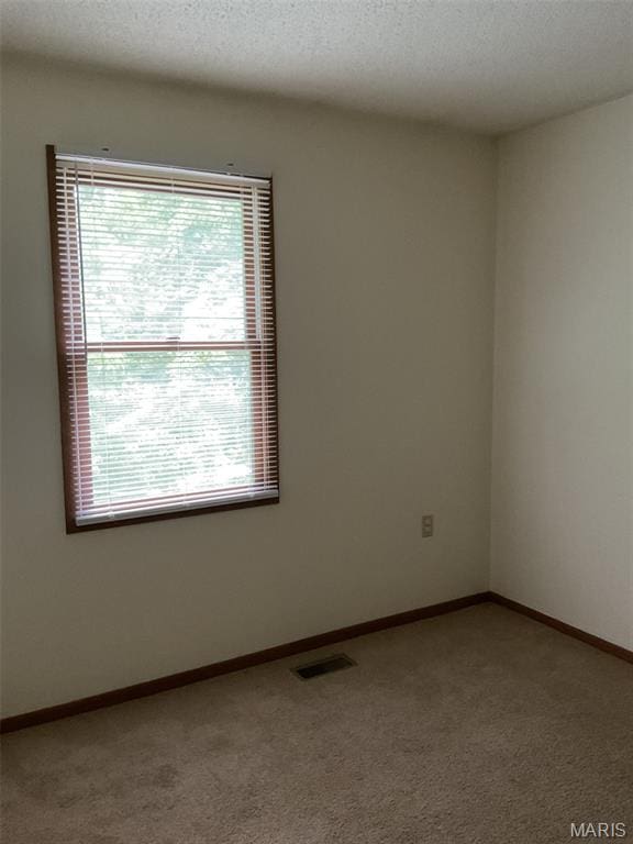 6 Dubois Ct, Washington, MO 63090 - photo 18