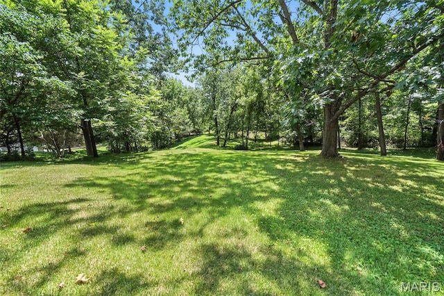 220 Susan Rd, Mo, MO 63129 - photo 18