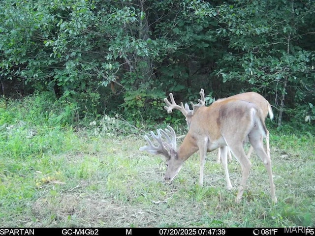 TBD Bobwhite Rd, Mo, MO 65452 - photo 2