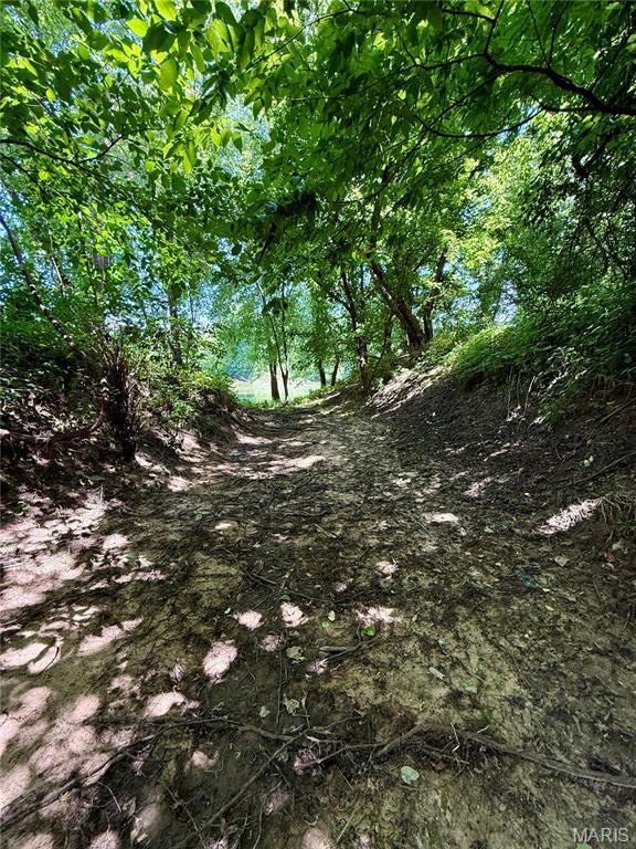 TBD Bobwhite Rd, Mo, MO 65452 - photo 7