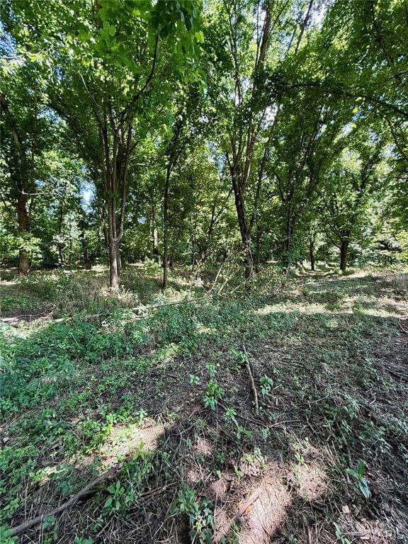 TBD Bobwhite Rd, Mo, MO 65452 - photo 11