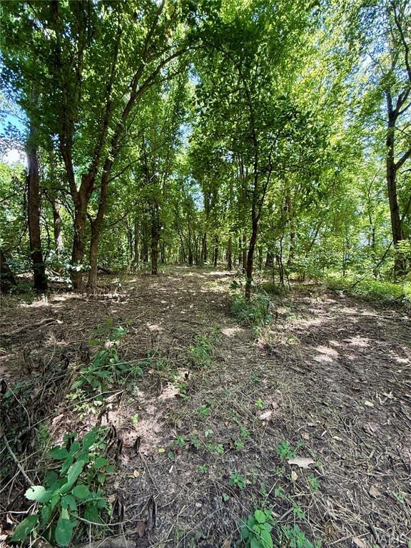 TBD Bobwhite Rd, Mo, MO 65452 - photo 12