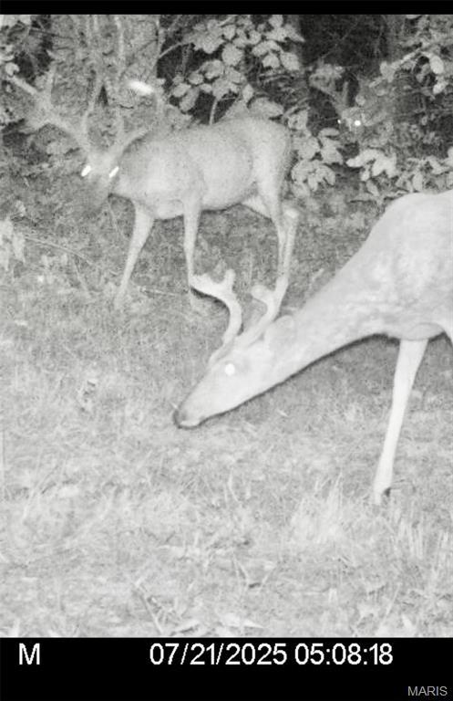 TBD Bobwhite Rd, Mo, MO 65452 - photo 17