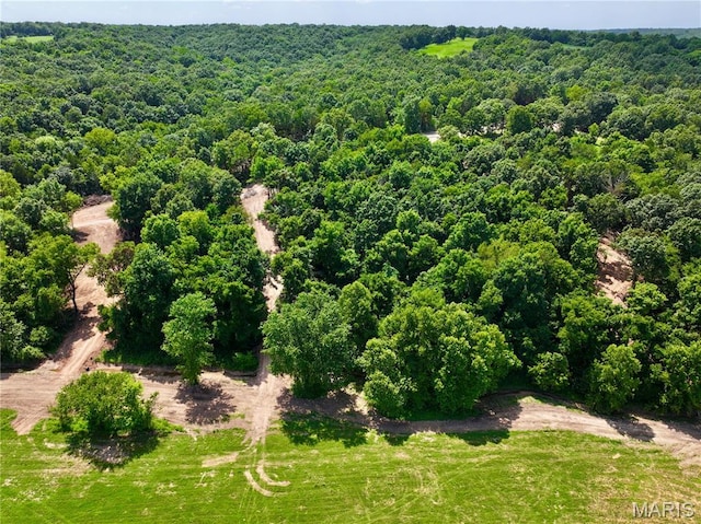 TBD Bobwhite Rd, Mo, MO 65452 - photo 21