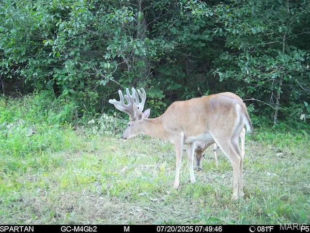 TBD Bobwhite Rd, Mo, MO 65452 - photo 23
