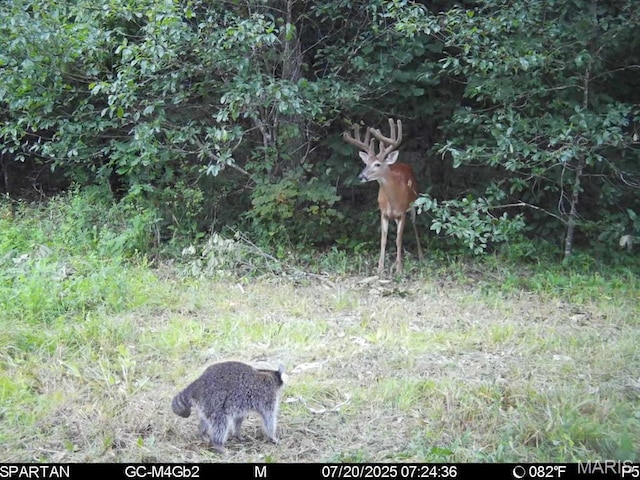 TBD Bobwhite Rd, Mo, MO 65452 - photo 24
