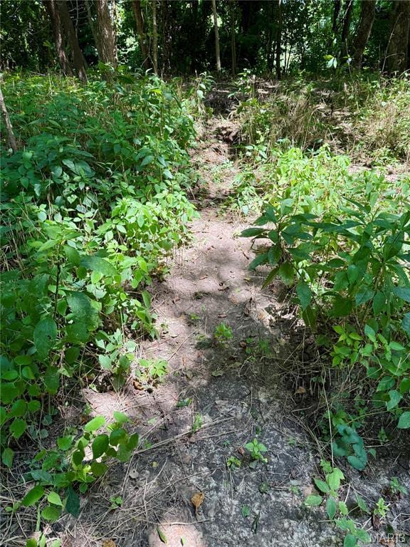 TBD Bobwhite Rd, Mo, MO 65452 - photo 41