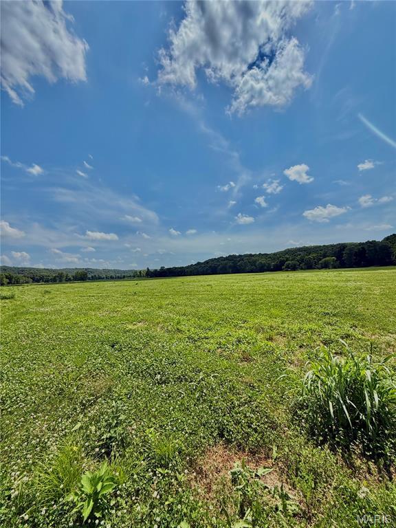 TBD Bobwhite Rd, Mo, MO 65452 - photo 43