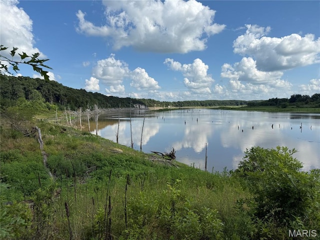 35930 Monroe Road 670, Perry, MO 63462 - photo 13
