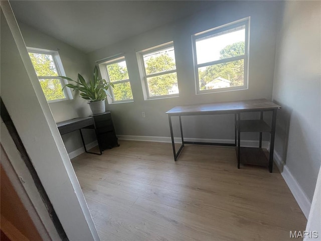 5206 S Grand Blvd, Saint Louis, MO 63111 - photo 23
