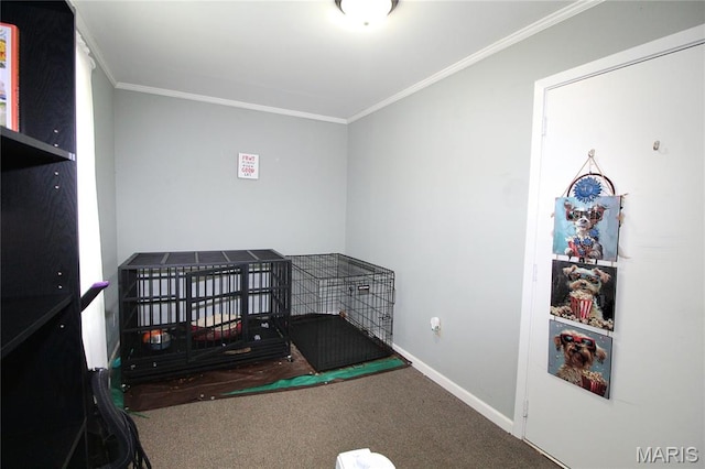 625 W Fillmore St, Vandalia, IL 62471 - photo 15