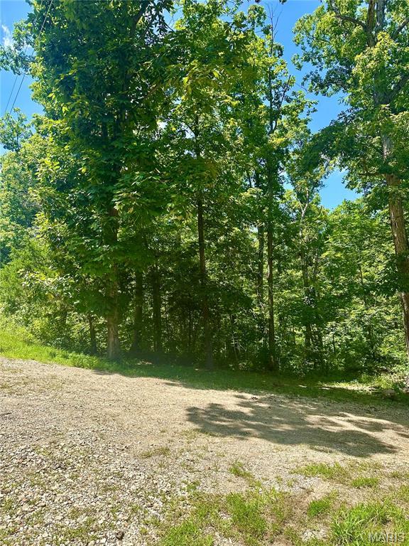 2518 N Bend Loop, Union, MO 63084 - photo 4
